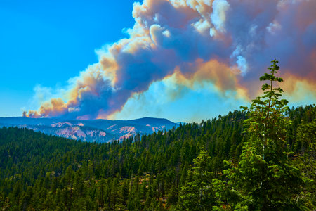 Forest Fire Smoke Plume Over Pine Forest and Mountain Landscape Under Blue Skyの写真素材