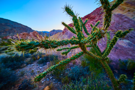 Close Up Desert Cactus with Red Rock Formations and Rugged Landscapeの写真素材