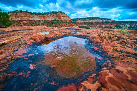 Rainwater Pool on Red Sandstone with Ripples and Lichen in Desert Close Upの写真素材