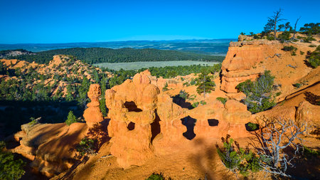 Aerial Red Canyon Hoodoos and Natural Arches with Forests in Utah