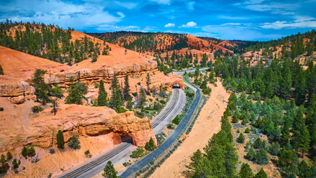 Aerial Red Canyon Tunnels Scenic Highway and Pine Forest Utah