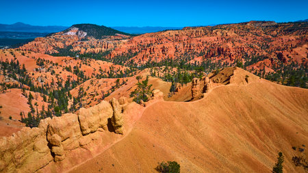 Aerial Red Canyon Landscape Golden Wall Trail and Pine Trees Utah