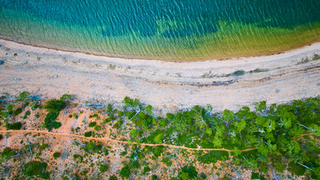 Aerial Vibrant Lake Shoreline and Forest Edge Top Down View