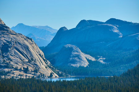 Granite Mountains Tenaya Lake and Pine Forest in Yosemite National Park Californiaの写真素材
