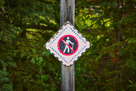 Restoration Area Sign in Lush Green Forest Conservation and Regeneration Scene