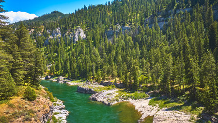 Aerial Lush Forest River and Rocky Valley Landscape in Wyoming