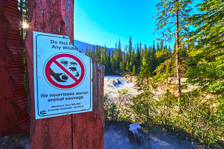 Do Not Feed Wildlife Sign by Natural Bridge with Sunburst and Forest at Sunriseの写真素材