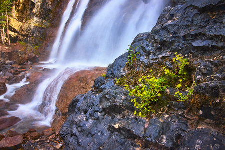 Waterfall Flow Over Rocky Cliff With Yellow Wildflowers In Lush Natural Settingの写真素材