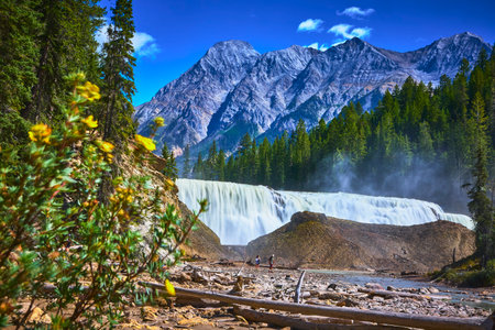 Wapta Falls Waterfall with Wildflowers and Majestic Mountain in Yoho National Parkの写真素材