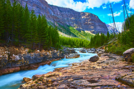 River Flowing Through Rocky Canyon and Pine Forest with Mountain Backdropの写真素材