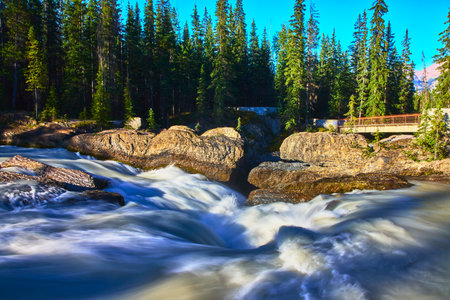 Natural Bridge Rapids and Pine Forest with Wooden Walkway in Sunlightの写真素材