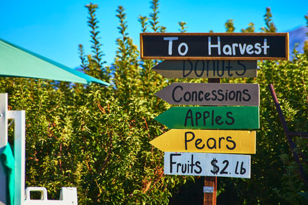 Harvest Orchard Sign Apples Pears and Fruit Picking in Nevada