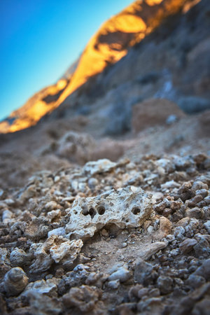 Golden Hour Fossil Bed Rock Texture and Sunlit Hills in Desert Landscape