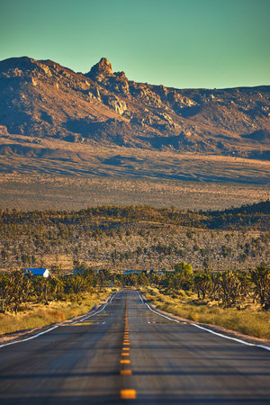 Endless Mojave Desert Road with Joshua Trees and Rugged Mountain Background