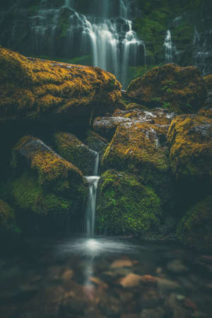 Waterfall in mossy lush Oregon forest