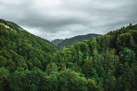 Majestic mountains in the Alps covered with trees and cloudsの写真素材