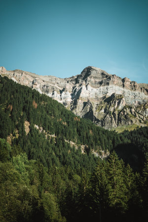 Majestic mountains in the Alps covered with trees and cloudsの写真素材