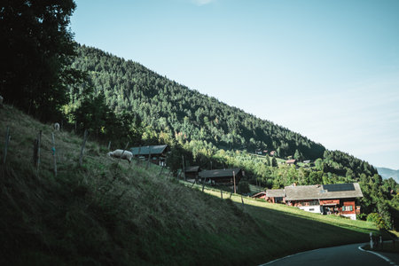 Wooden hut in the alps with mountains in the background Panoramaの写真素材