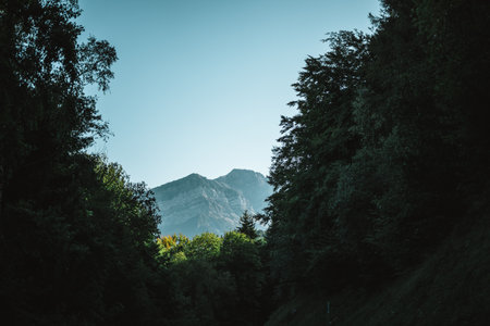 Majestic mountains in the Alps covered with trees and cloudsの写真素材