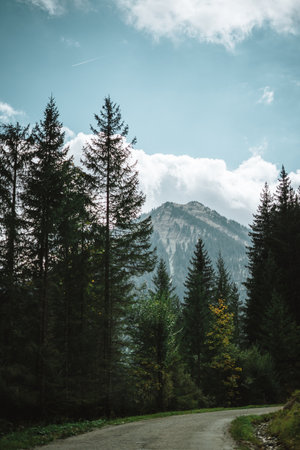 Majestic mountains in the Alps covered with trees and cloudsの写真素材