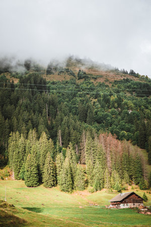 Wooden hut in the alps with mountains in the background Panoramaの写真素材