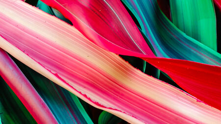 Abstract colorsの写真素材