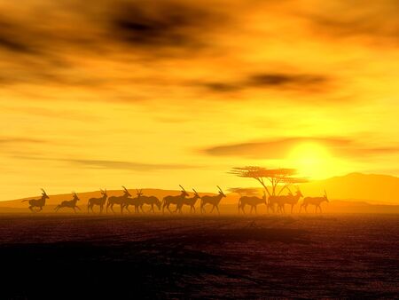 Illustration of an african wildlife sceneryの写真素材