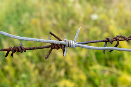 barbed wire in front of a green grassの写真素材