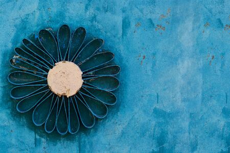 Iron flower Daisy on blue background close upの写真素材