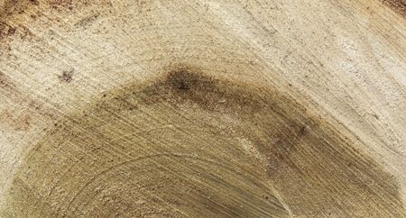 the texture of the cut wood, the texture of the tree ringの写真素材