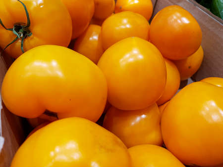 organic yellow tomatoes in the store, natural, ecological yellow tomatoesの写真素材