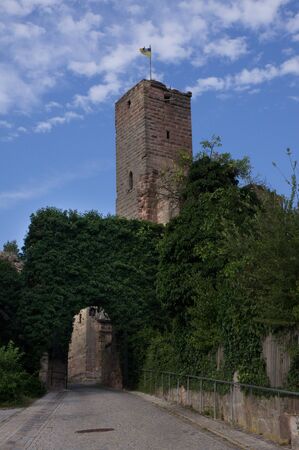 overgrown gate to the Hilpoltstein castleの写真素材
