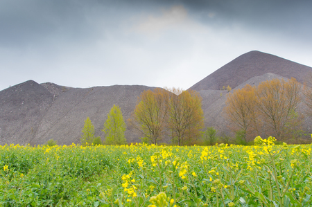 some hills from opencast pit and rape fieldsの写真素材