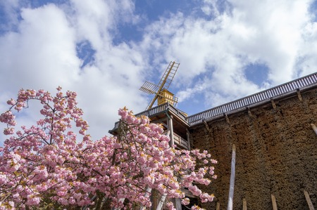 graduation house with windmill in springの写真素材