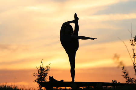 A woman at sunset practices yoga with a cat. A silhouette is visible against the sunset.の写真素材