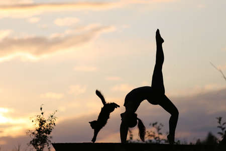 A woman at sunset practices yoga with a cat. A silhouette is visible against the sunset.の写真素材