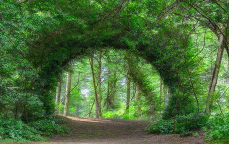 A green arch of trees and other plantsの素材