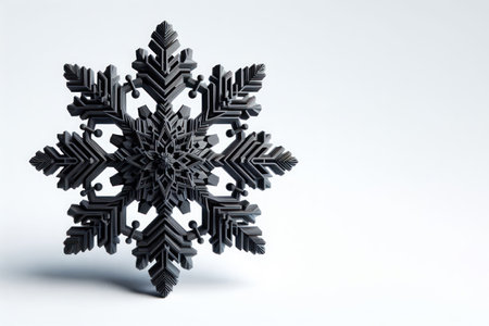 Large, beautiful black snowflake on white background. Space for textの素材