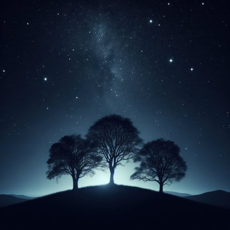 Silhouettes of trees against the background of the starry skyの素材