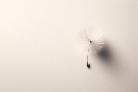 A single dandelion seed on a clean background. Space for textの素材