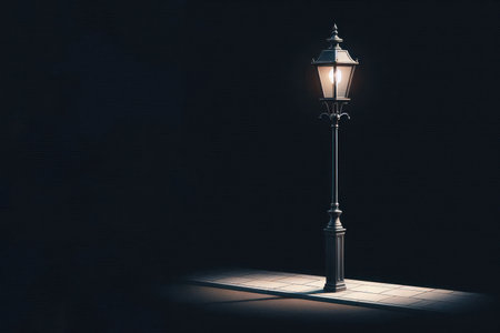 Single Street Light in the Dark. Space for textの素材