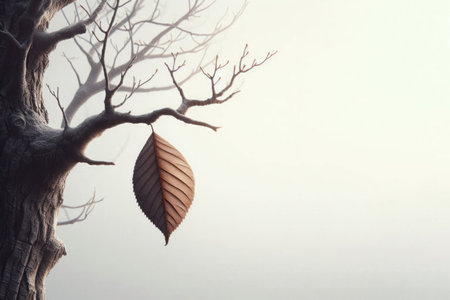 A single leaf hanging on a tree branch. Space for textの素材