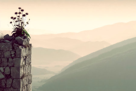 Flowers on a cliff with mountains in the background. Space for textの素材