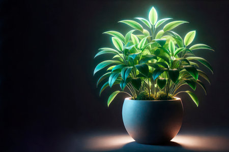 Plant in a pot with lighting. Space for textの素材
