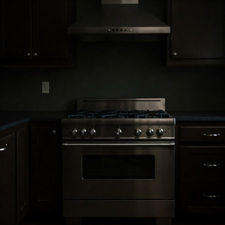 Stainless steel stove gas against the background of a dark kitchenの素材