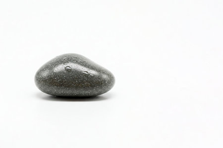 A lonely wet stone on a white background. Space for textの素材