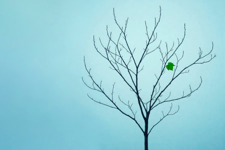 A single green leaf on a dry tree. Space for textの素材
