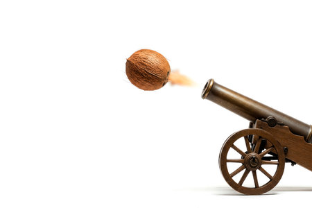 A coconut flies out of an ancient cannon like a cannonball. Space for textの素材