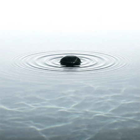 A stone on the water with circles from the wavesの素材