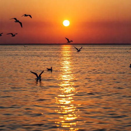 Sunset over the sea with the reflection of the sun and seagullsの素材